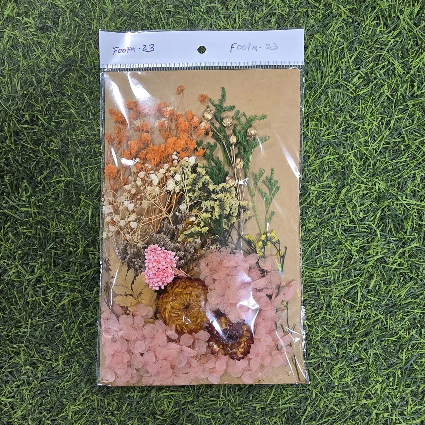 Coral Dream Mixed Dried Flower Pack