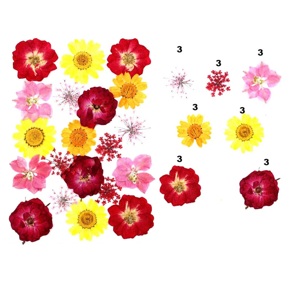 Red & Yellow Floral Mix Dried Pressed Flowers