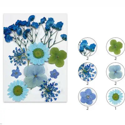 Ocean Breeze Mix Pressed Flowers