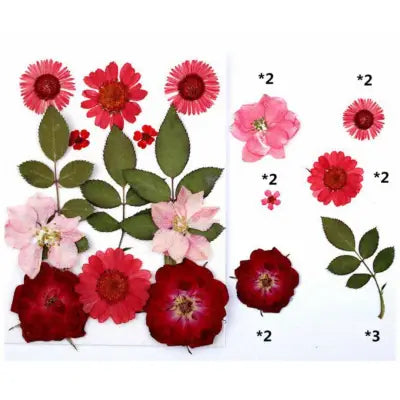 Rosy Romance Mix Pressed Flowers