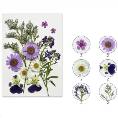 Lilac Field Mix Pressed Flower