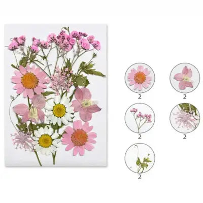 Rosette Dreams Mix Pressed Flowers