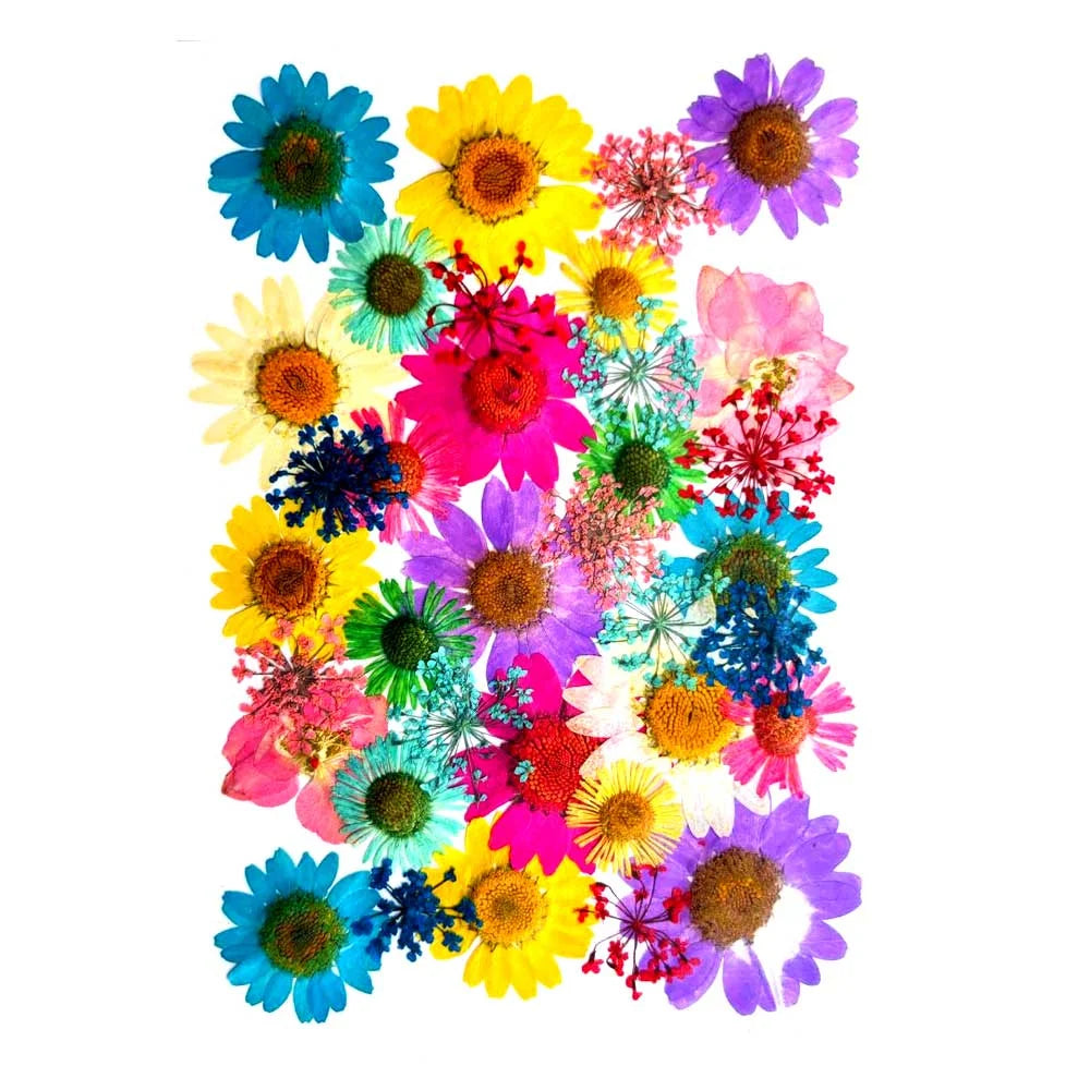 Vibrant Garden Mix Dried Pressed Flowers