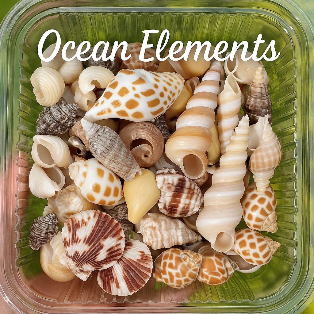 Ocean Elements
