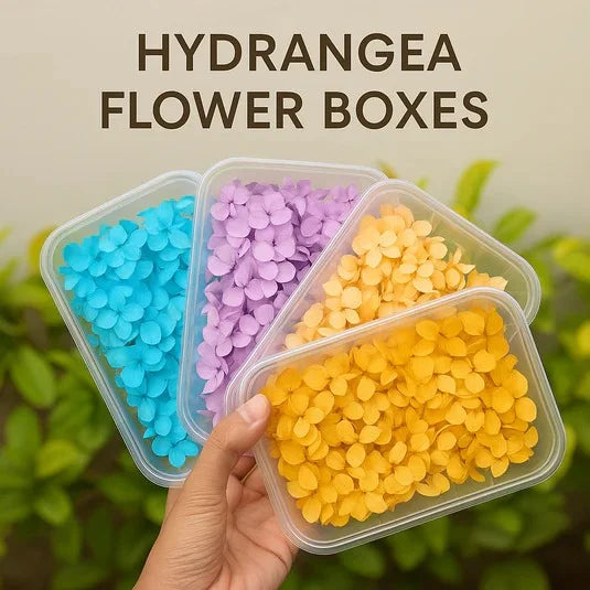 Hydrangea Flower Box