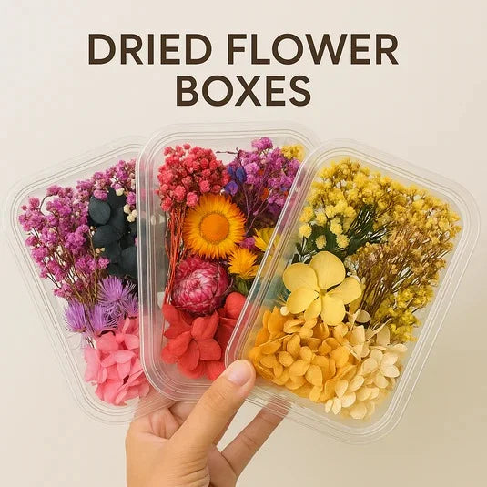 Dried Mix Flowers