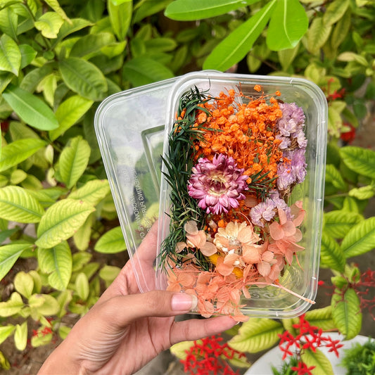 Amber Harvest Bloom Dried Flower Box