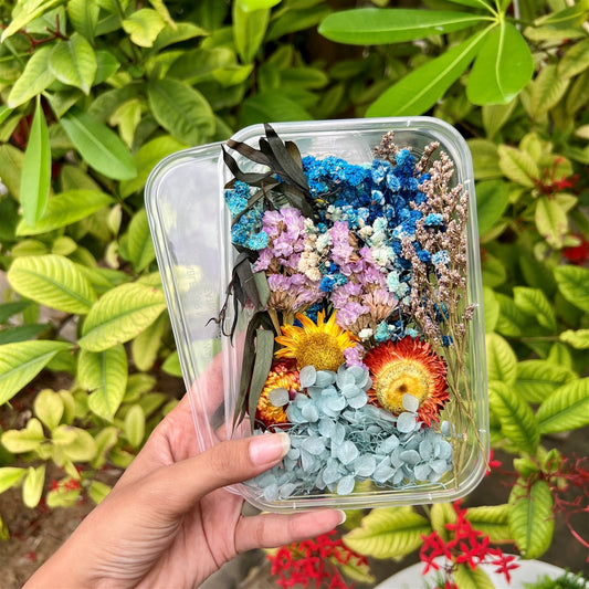 Aurora Mist Dried Flower Box