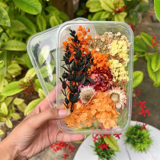 Autumn Blaze Dried Flower Box
