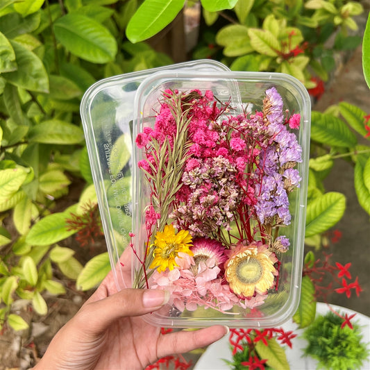Blush Meadow Petal Dried Flower Box