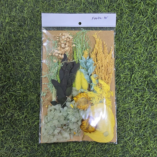 Bold Bloom Mix Dried Flower Pack