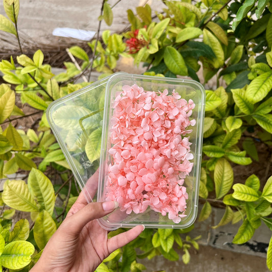 Bubblegum Pink Hydrangea Flower Box