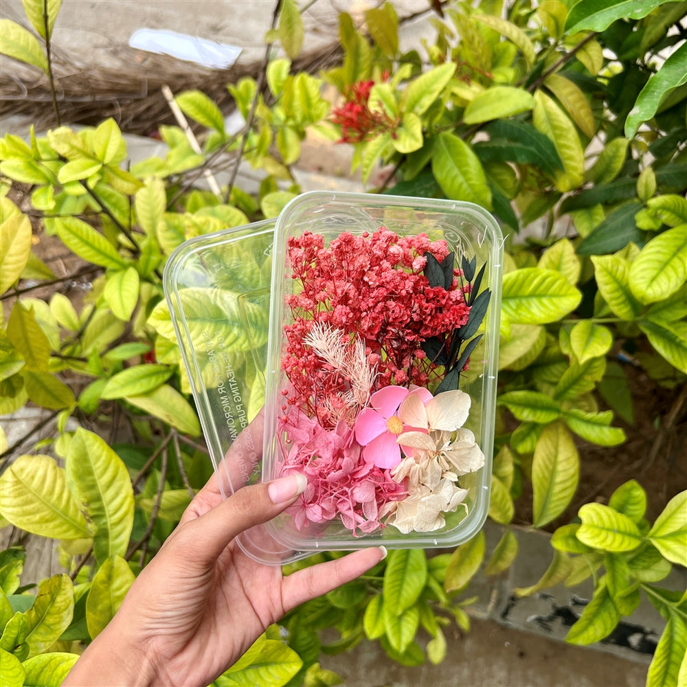 Cherry Blush – Dried Flower Box