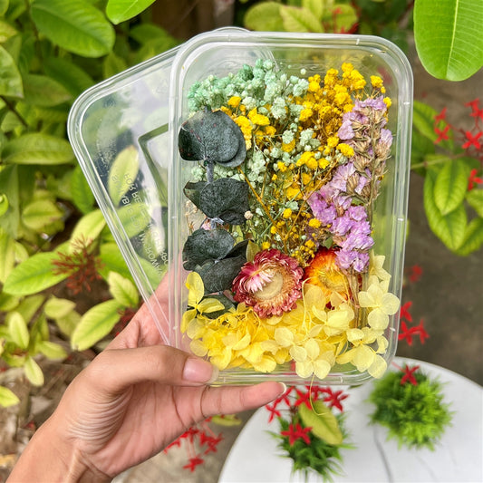 Citrus Charm Dried Flower Box