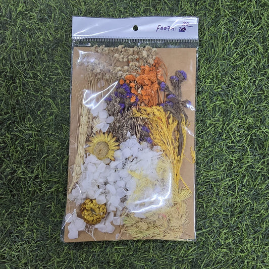 Classic White & Yellow Dried Flower Pack
