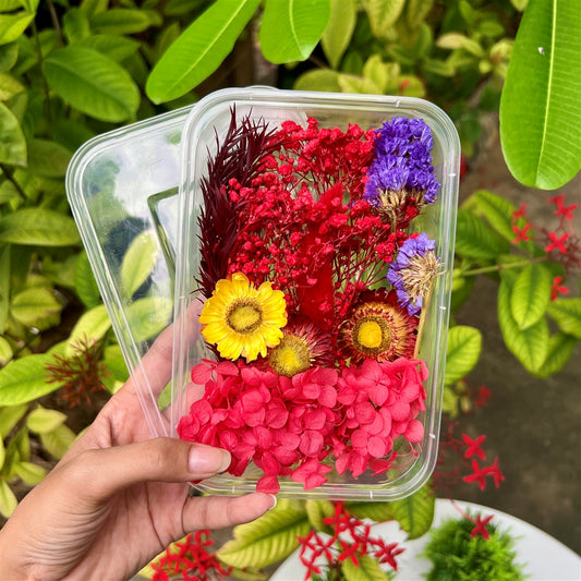Crimson Radiance Dried Flower Box