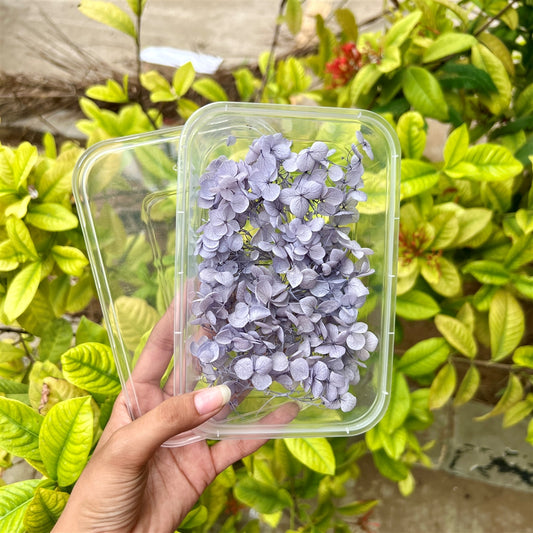 Dove Lilac Hydrangea Flower Box
