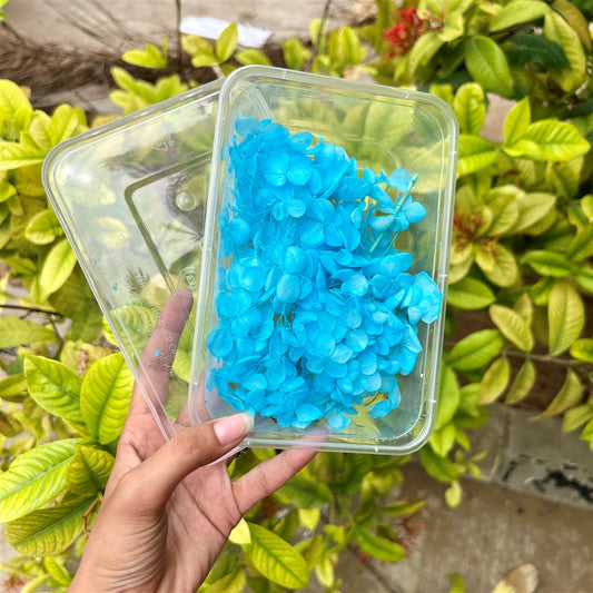 Electric Sky Hydrangea Flower Box