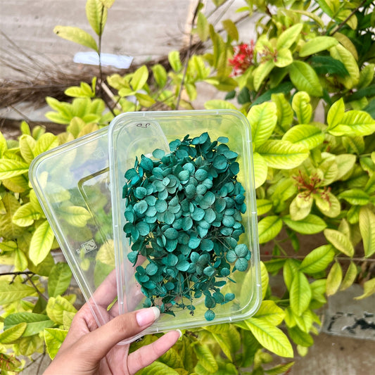 Enchanted Forest Hydrangea Flower Box