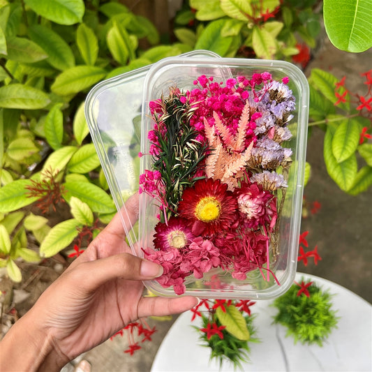 Fuchsia Bloom Dried Flower Box