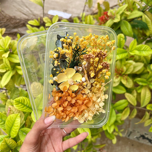 Golden Meadow – Dried Flower Box