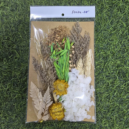 Ivory Meadow Mixed Dried Flower Pack