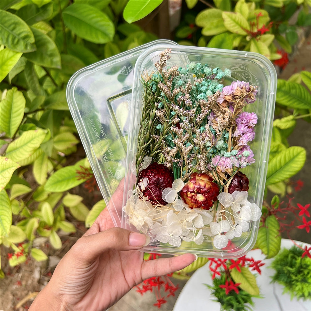Mint Whisper Dried Flower Box