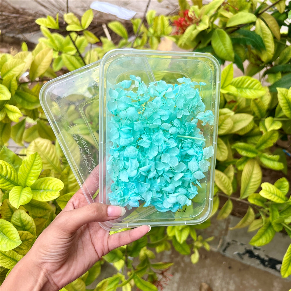 Ocean Breeze Hydrangea Flower Box
