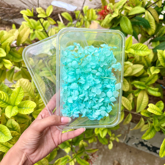 Ocean Breeze Hydrangea Flower Box