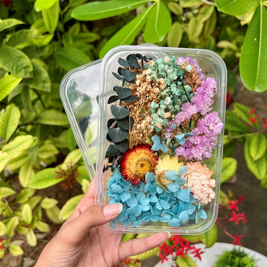 Pastel Lagoon Dried Flower Box