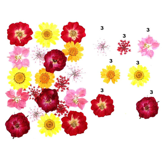 Red & Yellow Floral Mix Dried Pressed Flowers