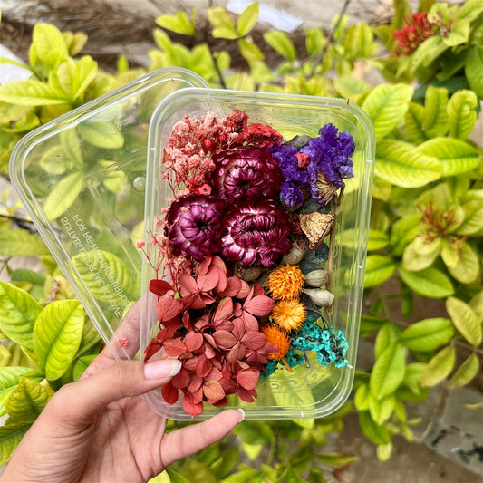 Royal Harvest – Dried Flower Box