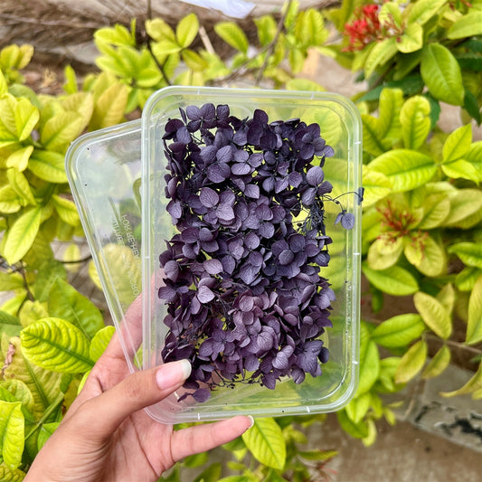 Royal Plum Hydrangea Flower Box