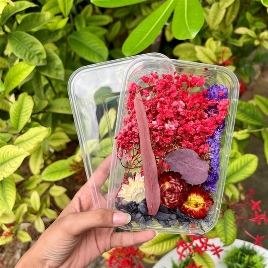 Ruby Twilight Dried Flower Box