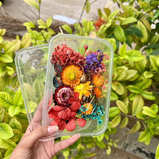Sunburst Mix – Dried Flower Box