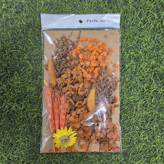 Sunset Hues Mixed Dried Flower Pack