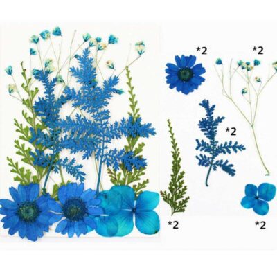 Sapphire Field Florals Mix Pressed Flower