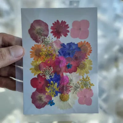 Bloom Fusion Pressed Flower