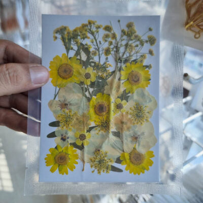 Summer Glow Mix Pressed Flowers