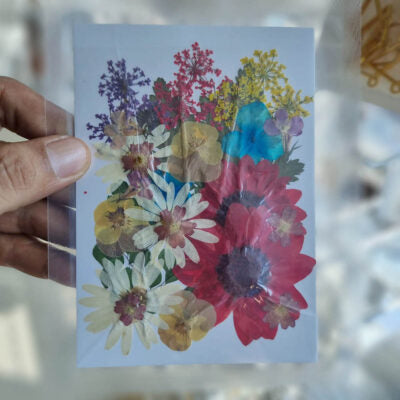 Bloom Carnival Mix Pressed Flowers