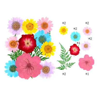 Spring Bloom Mix Pressed Flowers