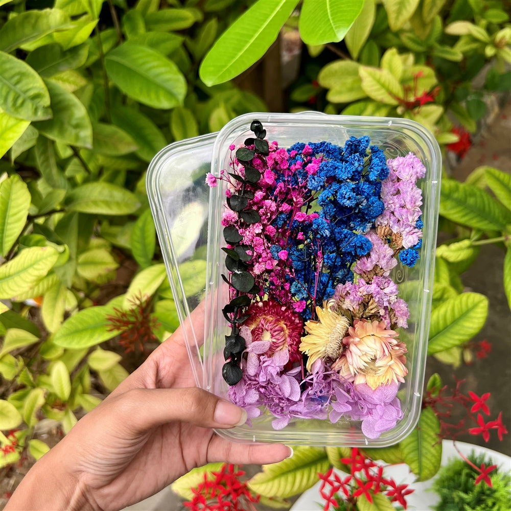 Twilight Bloom Dried Flower Box