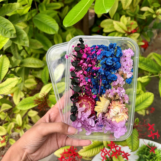 Twilight Bloom Dried Flower Box