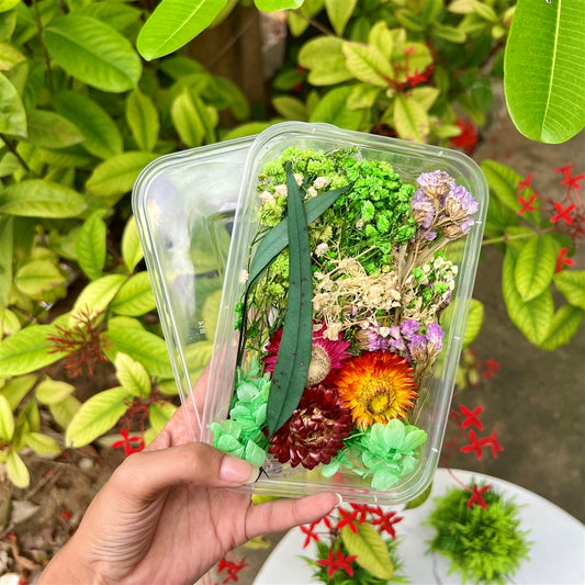 Verdant Radiance Dried Flower Box