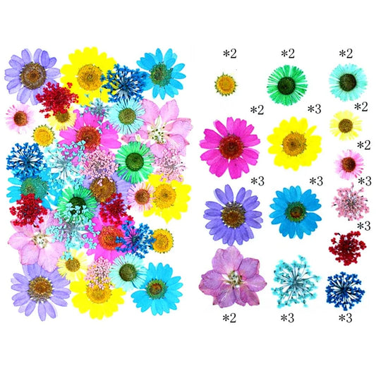 Vibrant Garden Mix Dried Pressed Flowers