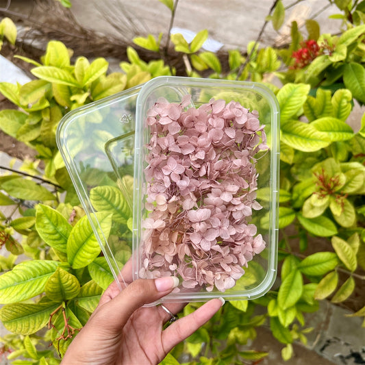 Vintage Blush Hydrangea Flower Box
