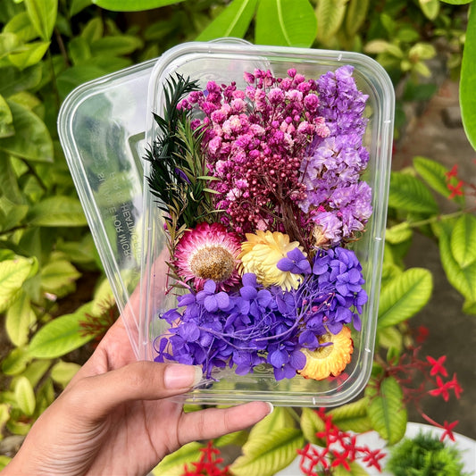 Violet Aurora Dried Flower Box