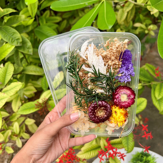 Wild Meadow Dried Flower Box